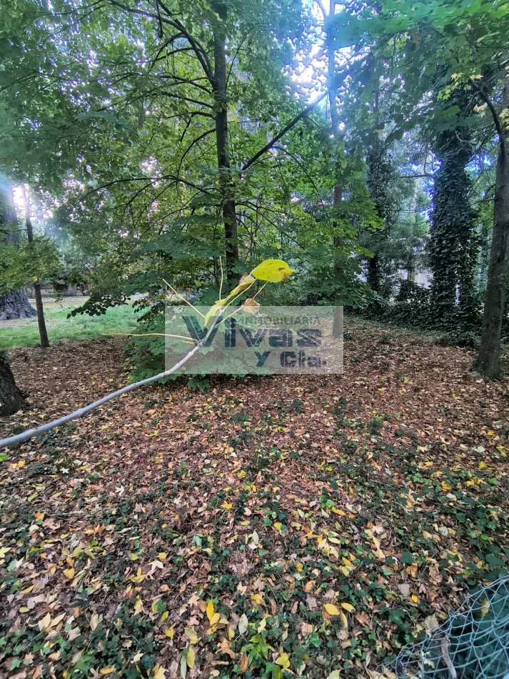 TERRENO EN BOSQUE PERALTA RAMOS